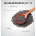 Mustard Seeds| सरसों के बीज Mustard Seeds| सरसों के बीज