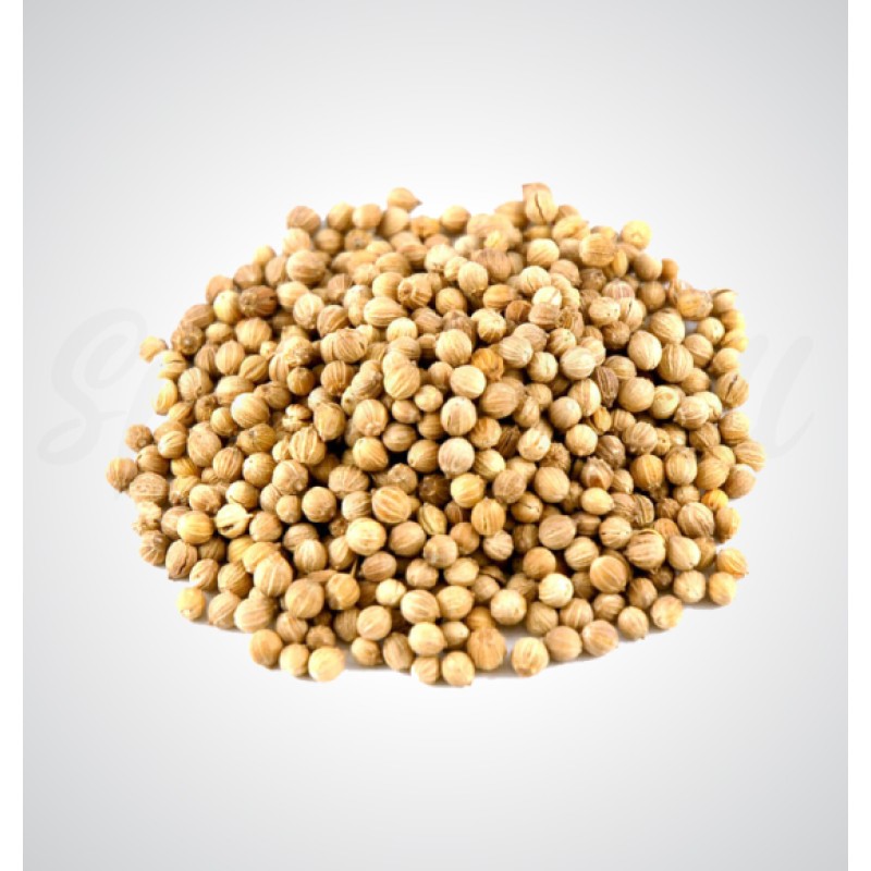 Coriander seeds|धनिये के बीज Coriander seeds|धनिये के बीज